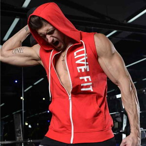 p[J[ t[fB[ Y m[X[u t[ht xXg y Rbg tBbglX g[jO X|[c jO WEFA JWA  H~ bh ubN