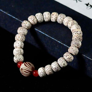 uXbg jp x  ̎  ʕ @  ANA} V^r[Y ۋ dグ  RNV 