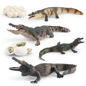 mߋ LbY A j NR_C TCN ͌^ tBMA wK ώ@  CtXe[W IuWF q PVCf