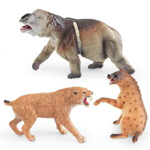 tBMA q LbY j̎q ̎q A Ñ jO T[x^CK[ fBvgh  X^`[ u 蕨