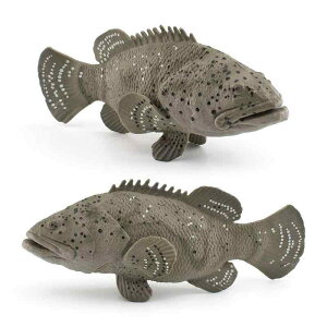 tBMA q LbY A Cm n^ O[p[ f mߋ wK   u fXNgbv PVC 4΂6Ό