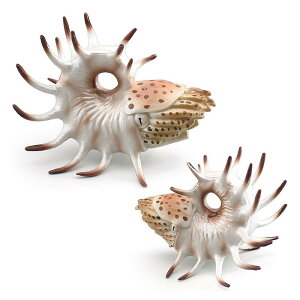 p IEKC ͌^ A Cm  tBMA ANAE  u CAEg \bh PVC q CeA I[ig