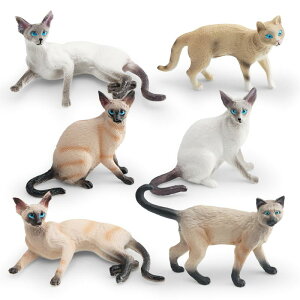 tBMA q AȔL VL ZєL 6Zbg PVC \bhf Iȓ mߋ CeA u RNV 4 5 6 j̎q ̎q c