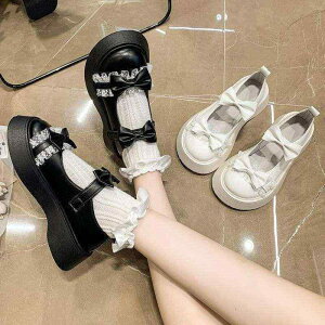 pvX fB[X  }[WF[ [^ JK Xb| 킢 { EhgD PUU[ t ʋ ʊw q[8cmȏ