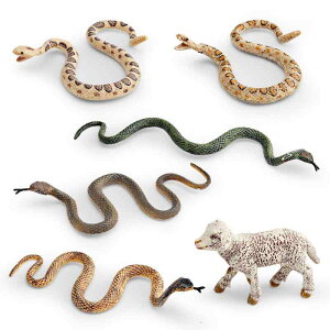  q LbY c 4 5 6 A Iȑ` 쐶 \bhf PVC  wK mߋ KKwr Ru mer tBMA V RNV u