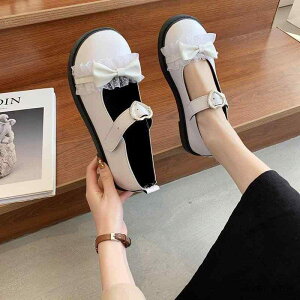 }[V[Y fB[X  }WbNe[v PUU[ EhgD [^ ؍t@bV hn w ʊw 킢 K[[ N}fUC  ubN x[W ~