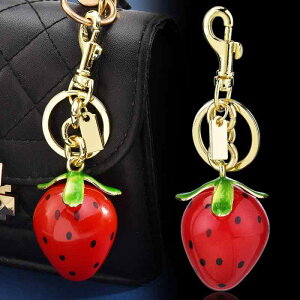 L[z_[ 킢 J[gD[  A{Jh t[c  obO`[ `[ ԗp wp  CX^f j[N y gїp 