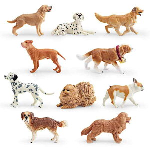 tBMA qp A PVC p  hbO u mߋ _VA Zgo[i[h |jA t`uhbO ~j`AsV[ RNV