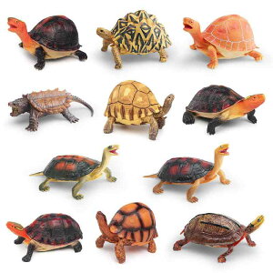 tBMA LbY A T \bh{fB Z}nR ASJ AtCZ}nR PVC I RNV m fBXvC