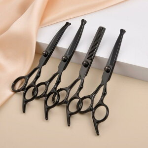 ybgpnT~ pg~O vdl XeX Xg[g J[u ZjO VU[ Zbg O[~O PA pi