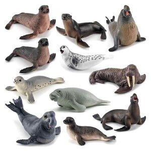 tBMA LbY I A Cm AUV AVJ ZCE` 10Zbg \bh mߋ wK p u IuWF PVC