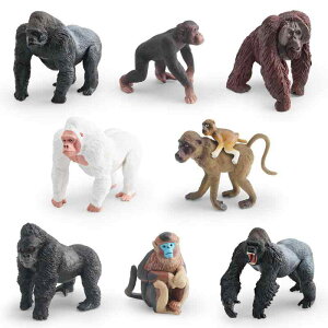 tBMA LbY qp AČ I \bh PVC IE[^ S `pW[ ސl m wK u IuWF CeA  