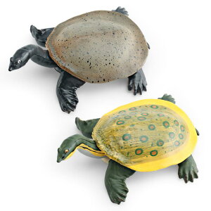 tBMA LbY A I m W Xb| J IIAK PVC  ͌^ CeA u IuWF RNV