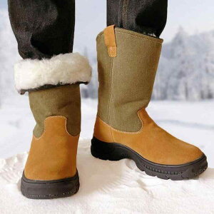 C Y fB[X [g V[vXL rv̌^ h ۉ ~ S  h Ռz ʋC ϋv AEghA ~C JWA