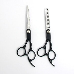 UnT~ ZtJbg ƒp JbgVU[ ZjOVU[ ؂ꖡQ wAJbg vdl ₷ ubN e e XeX 