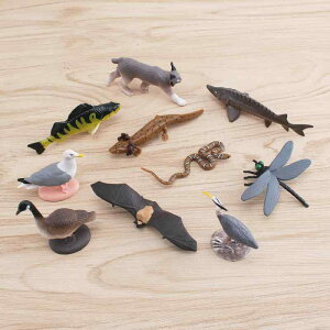 tBMA q LbY mߋ wKObY PVC A  kĖ쐶 TVEEI RE g{ wr }lR XYL 4Έȏ u IuWF