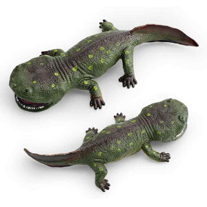 ÐtBMA q A N[XNX I ɒn  PVC IȖ͌^ m wKߋ Ñ㐶 IuWF RNV fBXvC u