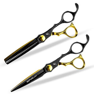 VU[ ubN S[h pC\ 6.5C` e e Up v ƒp ZtJbg Xg[g oT~ O XeX ؂ꖡQ