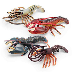 tBMA q A Iȍ m wK Cm uX^[ Gr {XguX^[ PVC CeA u   fBXvC IuWF