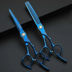 enT~ vdl i u[ JbgVU[ ZjOVU[  ZtJbg Ɩp et et wAJbg XL30%