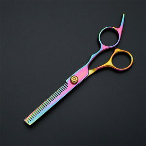 ハサミ プロ用 家庭用 レインボーカラー 虹色 理容師 美容師 シザー 散髪用 カット すきばさみ 梳きばさみ 6.0インチ 25%カット率 切れ味抜群 ステンレス製