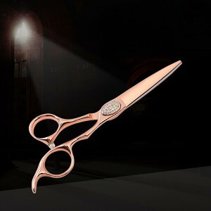 wAJbgVU[ vp Ɩp e T [YS[h n Xg[gJbg UnT~ y ؂ꖡQ 6C` ϋv XeX