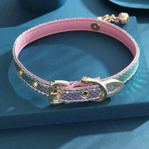 `[J[ jp U[ v 􉽊wfUC I pNn TuJn hn iCgNut@bV ZNV[ Vv JWA g lbNX