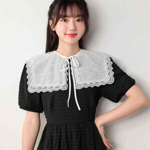 t fB[X t TVcs[Xp 킢 XK[ NVF҂ j҂ ҂ L { n[X Rbg  zCg F