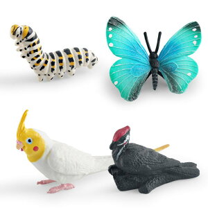 tBMA q LbY A I    PVC wK ώ@͌^  JJCcu IJCR RNV IuWF u 4Zbg