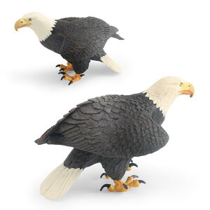 tBMA LbY q A nNgEV h PVC mߋ  wK ώ@ u IuWF CeA RNV