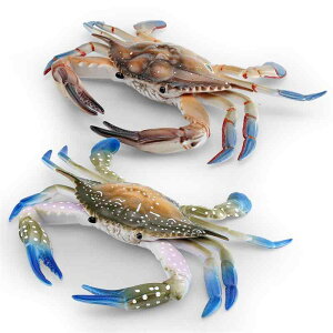 ͌^ LbY 4-6 q A Cm ^ Jj O_KU~ Jj PVC wK tBMA CeA fBXvC IuWF