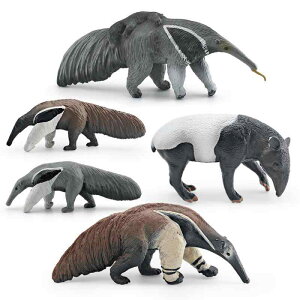  q A 쐶M ANC tBMA ͌^ mߋ wK   CeA fBXvC PVC 4 5 6 a v[g