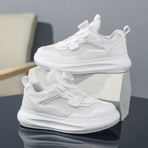 Xj[J[ LbY jp WRjA ʋC y bV  I[V[Y   ^ JWA ʊw ig n 哶 EVA\[