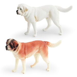 tBMA LbY o[i[h A   ͌^  IuWF u CeA PVC qp mߋ wK v[g 킢