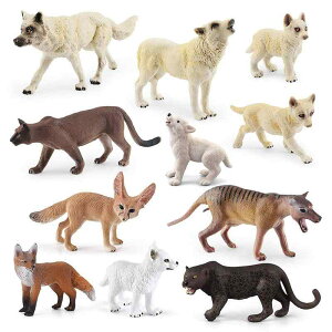 tBMA A I ~j`A PVC  qO} RA ~[ALbg A}W ETM Jo Ȃ ރf RNV u 