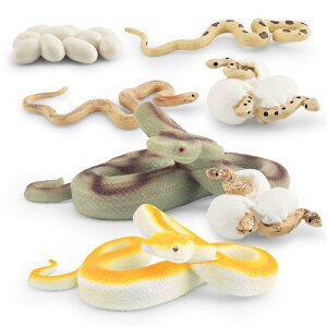 tBMA LbY q A 쐶 jVLwr TCN PVC mߋ wK Aj}͌^ Zbg ώ@ Ȋw 4 5 6 j̎q ̎q c