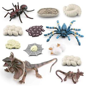 mߋ LbY A   TCN ώ@ wK PVC tBMA ͌^ fBXvC A ^` G}LgJQ 4΂6Ό 