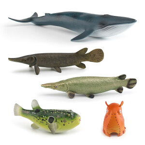 tBMA q A Cm C̓ f u[zG[ AQ[^[K[ tO _{INgpX PVC mߋ u IuWF CeA