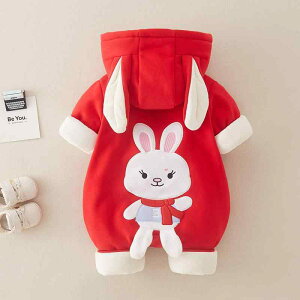 p[X xr[ V j̎q ̎q jp  ۉ 100% Rbg h  w j a 1 H oYj o  Jo[I[ OJ t@Xi[  