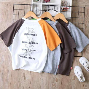 TVc LbY j̎q q WjA z  ؂ւ  ێ  Rbg _炩G t ʉ ʊw  [EFA  O[ uE