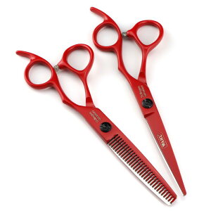 nT~ vp JbgVU[ ΂ 2Zbg et et Up ZjOVU[ wAJbg VU[ ؂ꖡQ i XeX 6.0C` bh