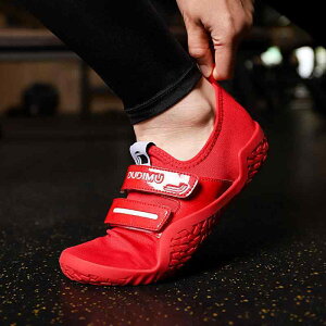 g[jOV[Y Y fB[X ~ ʋC  W XNbg fbhtg EFCgteBO ؗ  xAtbg fo