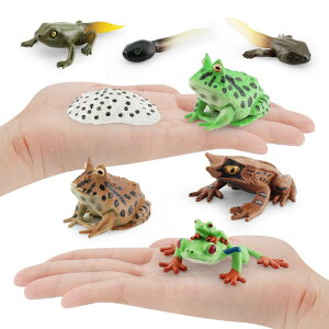  q JG tBMA A ߒf  AJA}KG cmKG ~cdmRmnKG ȊwwK mߋ PVC