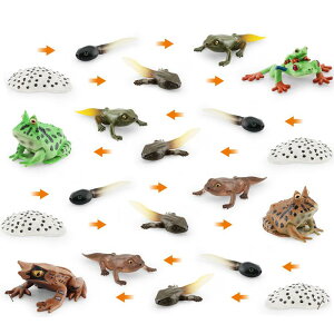 mߋ q A AJA}KG cmKG ~cdmRmnKG JG  TCN Ԋώ@ wK  PVCf ͌^ fBXvC u  ct ۈ牀 c