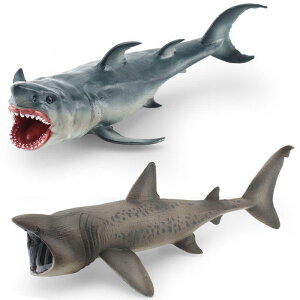 tBMA LbY qp AȊCm T 唒L WL IȒ\ vX`bN IuWF CeA u wKߋ RNV