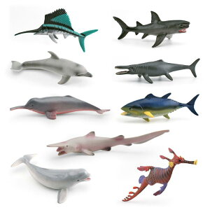 tBMA LbY q A I PVCf Cm VCJ CJ T }O }JWL C  f mߋ wK RNV u