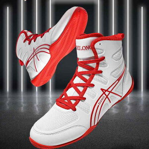 g[jOV[Y Y fB[X y Ռz ~ Ȑ ϋv  W {NVO XO iZ U t[t@Cg nCJbg bV ʔN