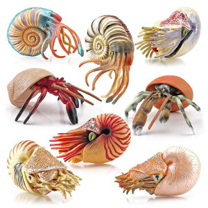 mߋ LbY q w A I Cm C̐ hJ IEKC PVCf \bh wK ώ@ F fBXvC u  tBMA ͌^ 8Zbg