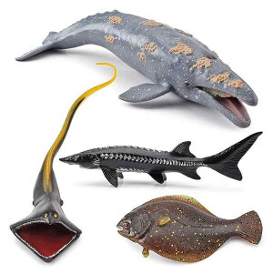 tBMA LbY q AȐIȊCmf PVC  RNNW tEZEiM ؃`EU q  m wK Ϗܗp