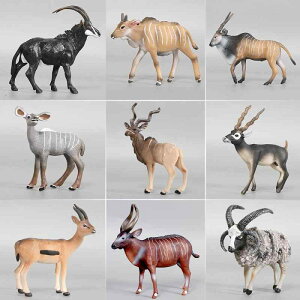 tBMA LbY q j̎q ̎q A ~j`A \bh PVC f q M qcW ƒ{ Ñ fBXvC mߋ RNVZbg v[g